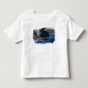T-shirt Nascer do sol e formações de iceberg