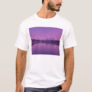 T-shirt NE, EUA, Alasca, Parque Nacional Denali, Wonder La