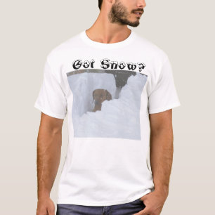 T-shirt Neve obtida?