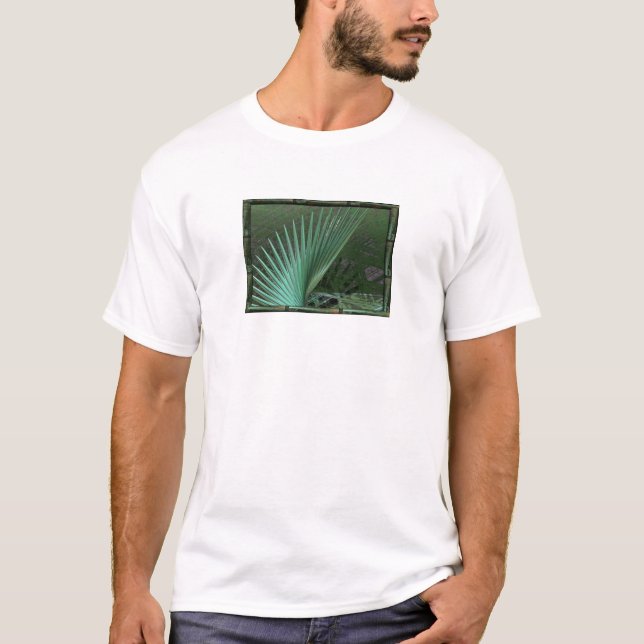 T-shirt Neverglades (Frente)