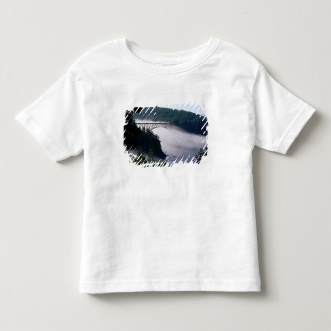 T-shirt Névoa deriva sob a ponte Deception Pass em (Frente)