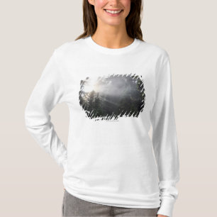 T-shirt Névoa & feixes de Sun em uma floresta de