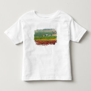 T-shirt Nevoeiro rasteja sobre a Gehring Brothers Winery a