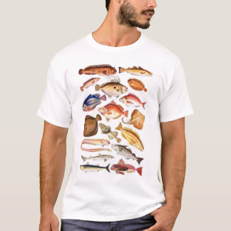 T-shirt newartsweb - tão muitos peixes, tão pouca hora