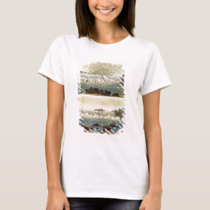 T-shirt Niagara Falls, 1818 (gravura da cor)