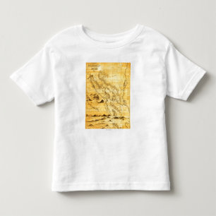 T-shirt NicaraguaPanoramic MapNicaragua