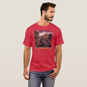 T-shirt Noite bonita