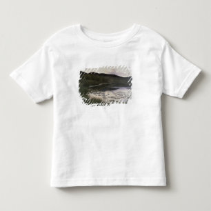 T-shirt Noite de verão, 1886