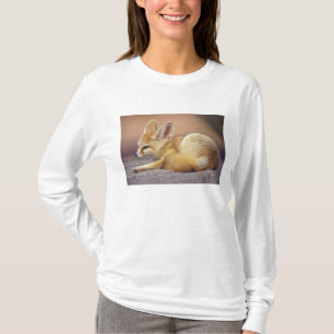 T-shirt Norte da África. Feneco Fennecus zerda)