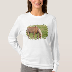 T-shirt Novo Brunswick, Canadá. Cavalo no campo.