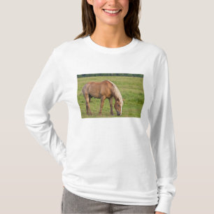 T-shirt Novo Brunswick, Canadá. Cavalo no campo.
