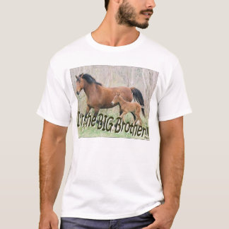 T-shirt novo do irmão