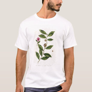 T-shirt O chá verde, chapeia 351 "de um erval curioso",