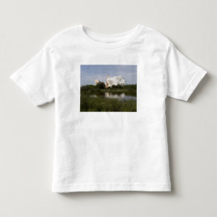 T-shirt O esforço do vaivém espacial tira 6
