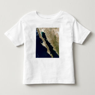 T-shirt O Golfo da Califórnia
