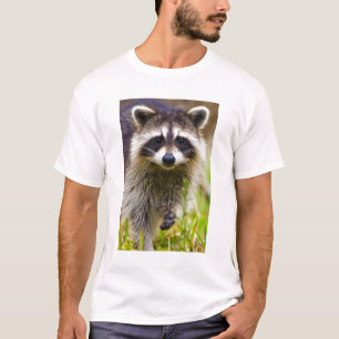 T-shirt O guaxinim, Procyon lotor