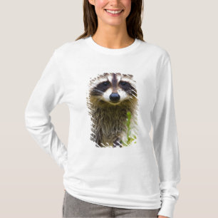 T-shirt O guaxinim, Procyon lotor