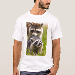 T-shirt O guaxinim, Procyon lotor, é um mamífero amplament