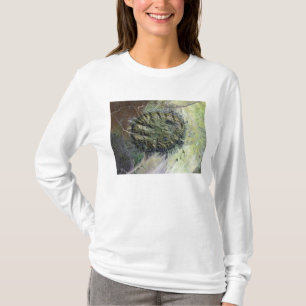 T-shirt O Massif de Brandberg em Namíbia do norte