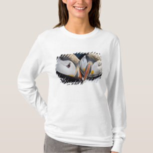 T-shirt O papagaio-do-mar, uma ave marinha pelágica