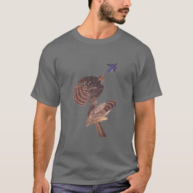 T-shirt O Raptor Hawk Audubon Stanley de Cooper (Frente)