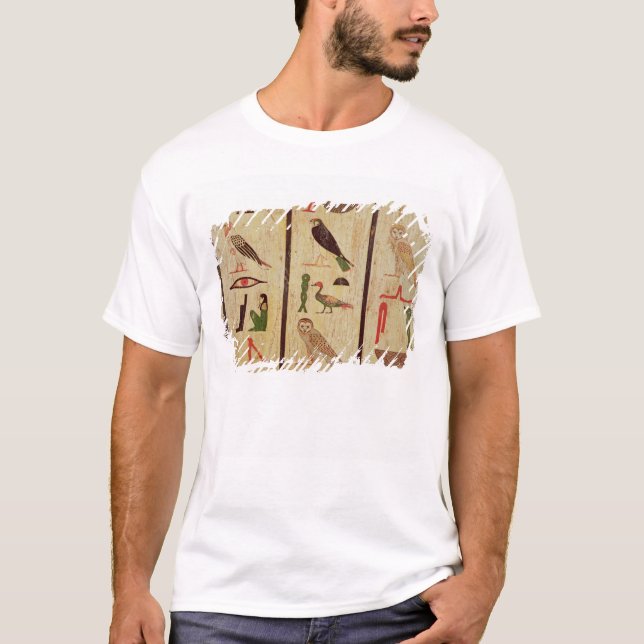 T-shirt O sarcófago de Psamtik eu (664-610 BC) detalho o (Frente)