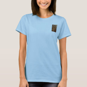 T-shirt O T secreto do calipso