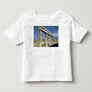T-shirt O templo de Apollo