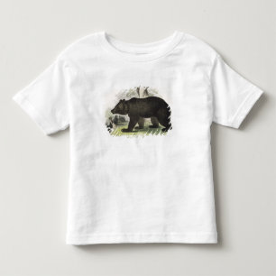 T-shirt O urso de Brown, bar educacional da ilustração.
