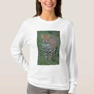 T-shirt OCELOTE (Leopardus pardalis) AMÉRICA CENTRAL