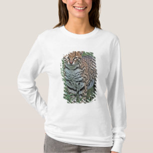T-shirt OCELOTE (Leopardus pardalis) AMÉRICA CENTRAL