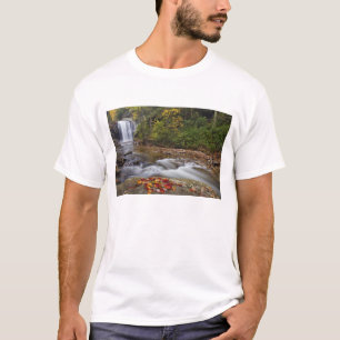 T-shirt Olhando o vidro cai no Pisgah National