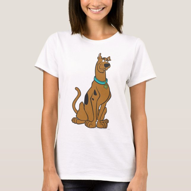 T-shirt Olhos De Puppy Scooby-Doo (Frente)