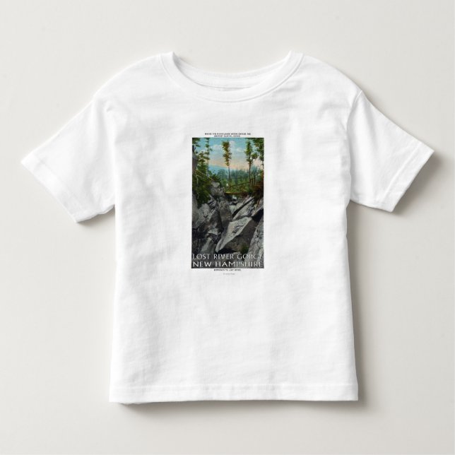 T-shirt Opinião da entrada de um desfiladeiro Glacial (Frente)