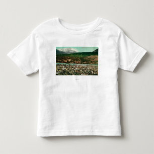 T-shirt Opinião de Birdseye de Skagway, AlaskaSkagway, AK