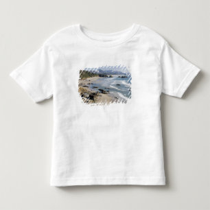 T-shirt OR, Costa do Oregon, Parque Estadual Ecola, Cresce