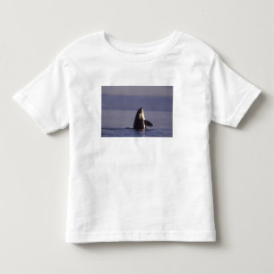 T-shirt Orca assassina (Orca orcinus) em spyhopping perto