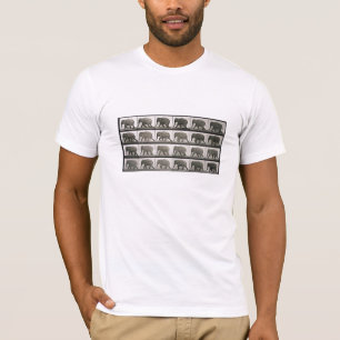 T-shirt Os elefantes de Muybridge