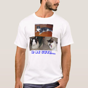 T-shirt Os gatos os mais bonitos do mundo
