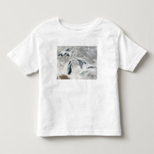 T-shirt Os grandes lagos 2