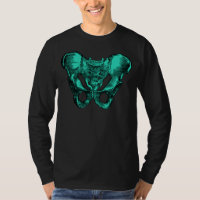 Ossos humanos da pelve da anatomia