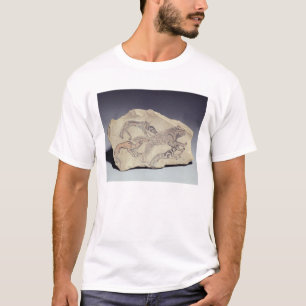 T-shirt Ostracon que descreve um cão que persegue uma