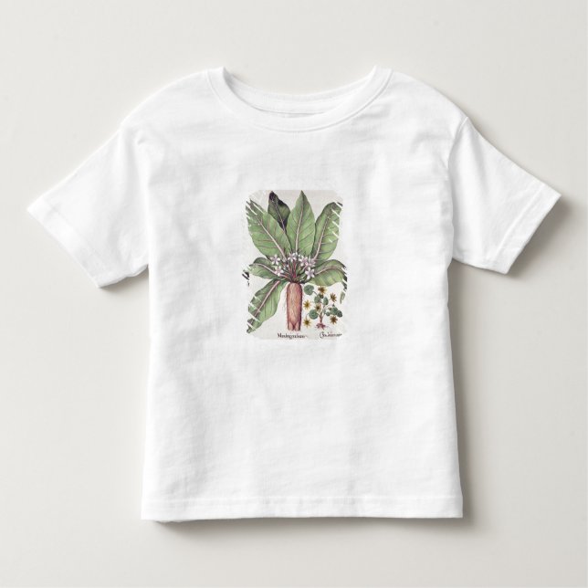 T-shirt Outono Mandrake, do "Hortus Eystettensis" perto (Frente)