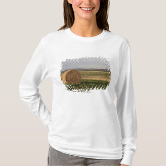 T-shirt Pacotes de feno em um campo com as montanhas no