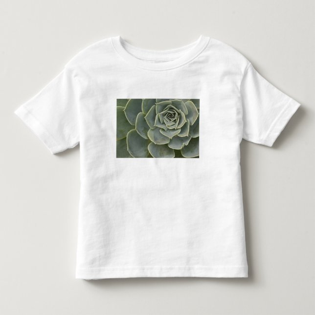 T-shirt Padrão de cacto (Frente)
