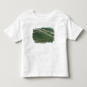 T-shirt Paisagem de terraços de arroz na montanha, 3