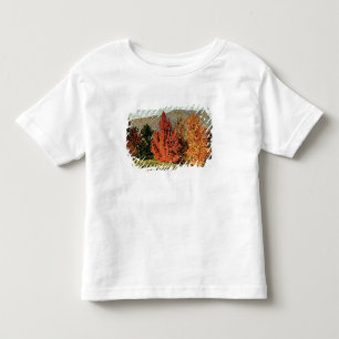 T-shirt Paisagem do outono, c.1903 (óleo em canvas)