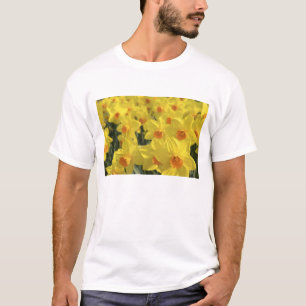 T-shirt Países Baixos, Holanda, Lisse, Jardins Keukenhof,