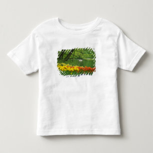 T-shirt Países Baixos, Lisse. Cisnes brancos no lago em me