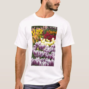 T-shirt Países Baixos (também conhecido como Holanda), Lis